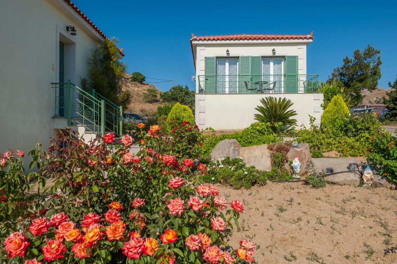 Ampeloessa Village Kornos Exterior photo