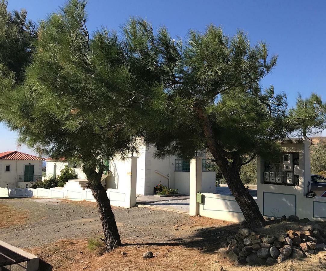 Ampeloessa Village Kornos Exterior photo